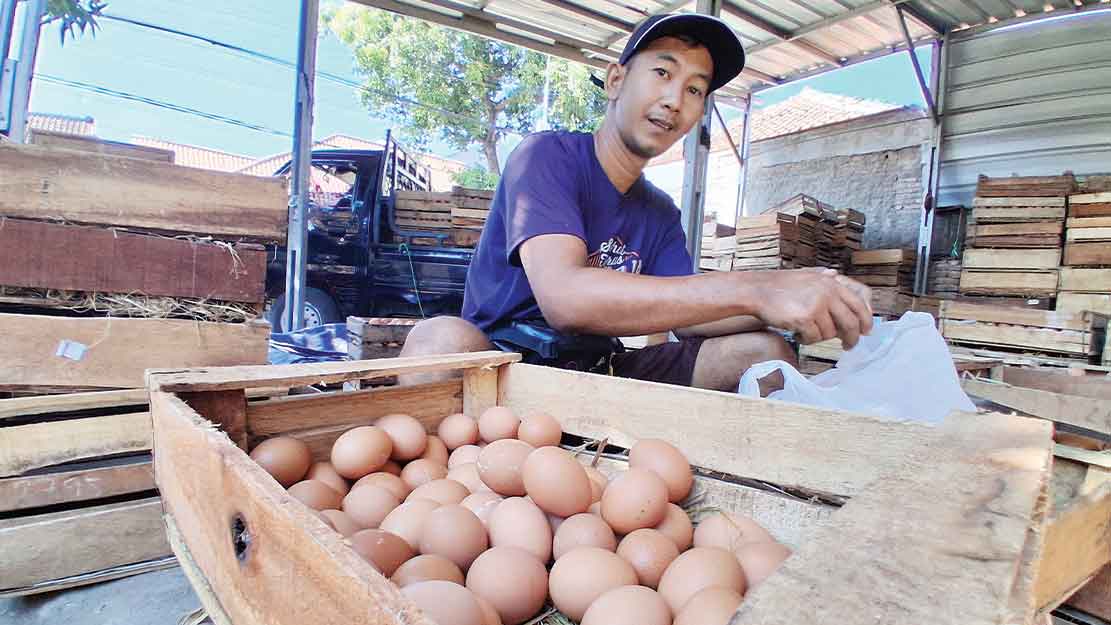 SPPG Tutup Sementara, Harga Telur di Cirebon Anjlok 1 Sppg Tutup Sementara, Harga Telur Di Cirebon Anjlok