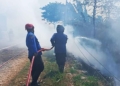 Kebakaran Lahan Kosong di Arjawinangun Cirebon Diduga Ulah Oknum Bakar Sampah 20 Kebakaran Lahan Kosong Di Arjawinangun Cirebon Diduga Ulah Oknum Bakar Sampah