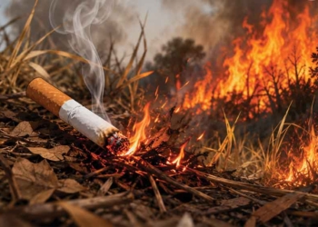 Kebakaran Di Cirebon, Jangan Buang Puntung Rokok Sembarangan!