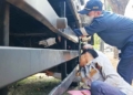 Misteri Penyebab Kecalakaan di Gronggong Cirebon Belum Terungkap, Dishub Cek Truk Kontainer 2 Misteri Penyebab Kecalakaan Di Gronggong Cirebon Belum Terungkap, Dishub Cek Truk Kontainer