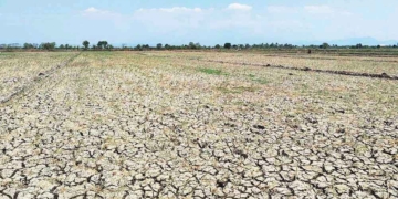 Tujuh Desa Di Kabupaten Cirebon Masuk Peta Rawan Kekeringan