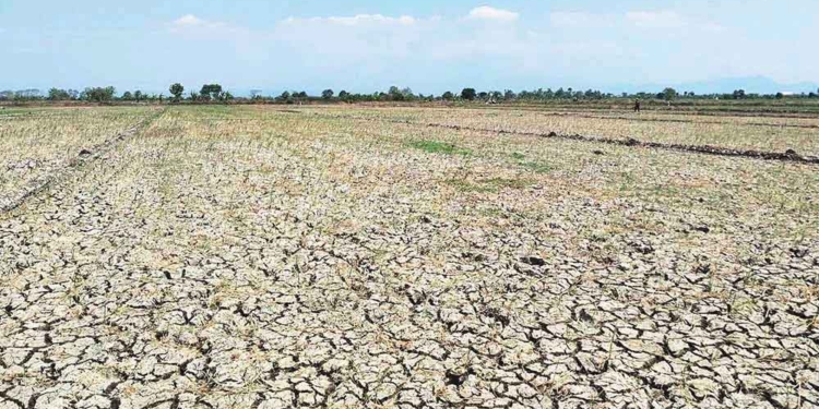 Tujuh Desa Di Kabupaten Cirebon Masuk Peta Rawan Kekeringan