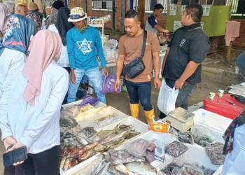Sektor Perikanan Kabupaten Cirebon Capai Rp1,22 Triliun 3 Sektor Perikanan Kabupaten Cirebon Capai Rp1,22 Triliun