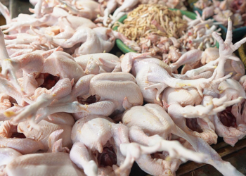 MBG Aktivitas Lagi, Harga Daging Ayam di Pasar Sumber Cirebon Tembus Rp40 Ribu 4 Daging Ayam