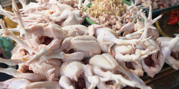 MBG Aktivitas Lagi, Harga Daging Ayam di Pasar Sumber Cirebon Tembus Rp40 Ribu 7 Daging Ayam