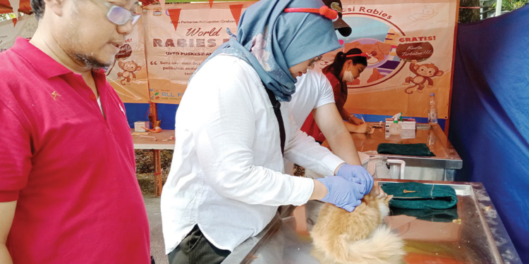 Distan Kabupaten Cirebon Sediakan 300 Vaksin Rabies Gratis untuk Hewan Peliharaan 6 Distan Kabupaten Cirebon Sediakan 300 Vaksin Rabies Gratis Untuk Hewan Peliharaan