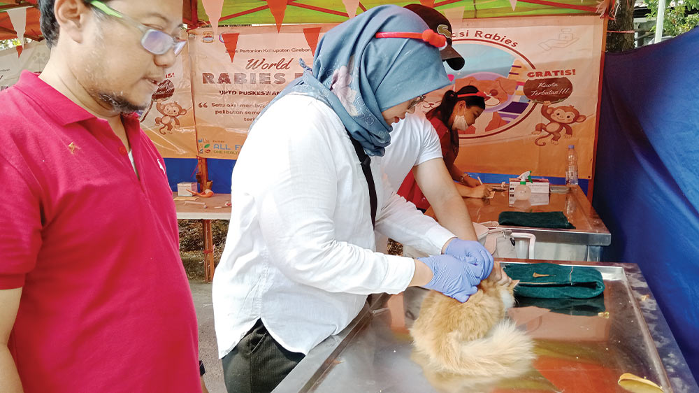 Distan Kabupaten Cirebon Sediakan 300 Vaksin Rabies Gratis untuk Hewan Peliharaan 1 Distan Kabupaten Cirebon Sediakan 300 Vaksin Rabies Gratis Untuk Hewan Peliharaan