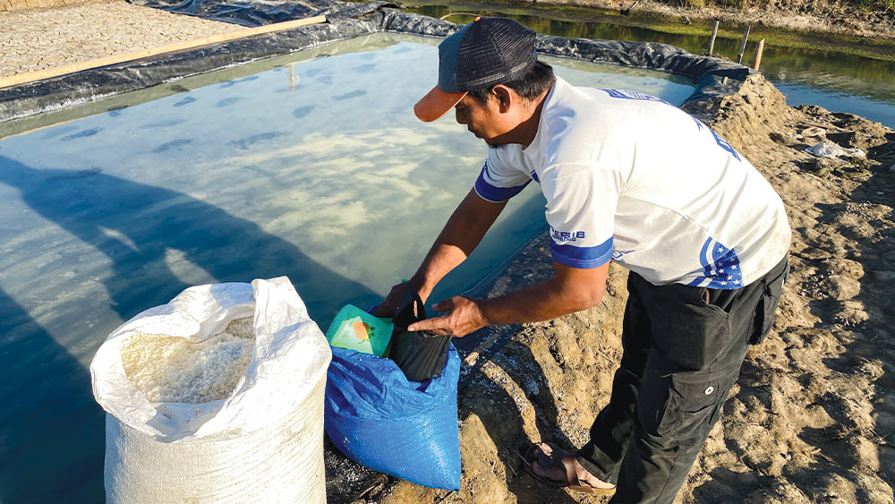 Produksi Garam Cirebon Bangkit, Harga Petambak Anjlok ke Rp600-Rp800 per Kg 1 Produksi Garam Cirebon Bangkit, Harga Petambak Anjlok Ke Rp600-Rp800 Per Kg