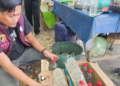 3 Hari Operasi di Cirebon, Polisi Sita 647 Botol Miras dari 11 Pedagang 2 Anggota Reserse Narkoba Polresta Cirebon Menunjukan Saat Sejumlah Botol Miras Yang Diamankan Saat Menggelar Operasi.