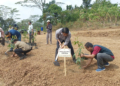 Wabup Cirebon, H Agus Kurniawan Budiman Menanam Pohon