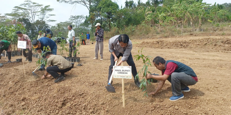 Wabup Cirebon, H Agus Kurniawan Budiman Menanam Pohon