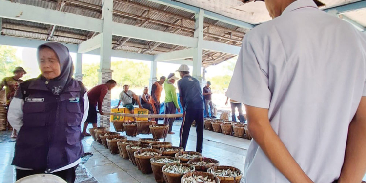 Produksi Perikanan Kabupaten Cirebon Melonjak 6 Produksi Perikanan Kabupaten Cirebon Melonjak