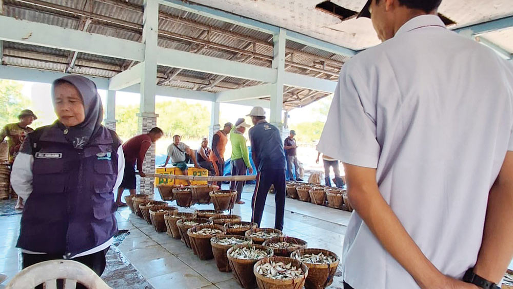 Produksi Perikanan Kabupaten Cirebon Melonjak 1 Produksi Perikanan Kabupaten Cirebon Melonjak