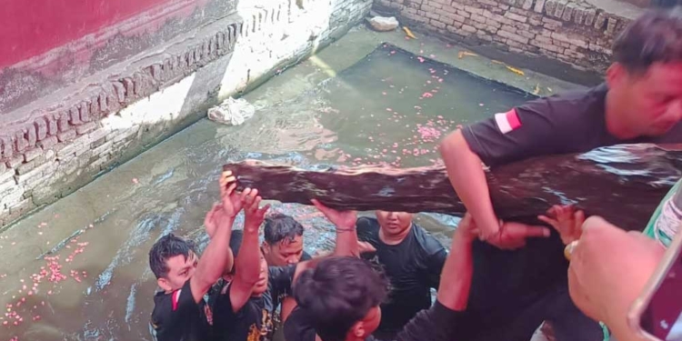 Tradisi Buyut Kayu Perbatang Di Kertawinangun.