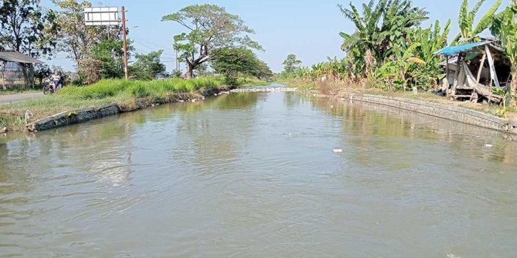 Irigasi di Kabupaten Cirebon Tak Cukup Tanpa Pasokan Air yang Memadai 9 Irigasi Di Kabupaten Cirebon.