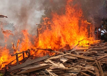 Gudang Jamur Terbakar, Api Nyaris Merembet ke Rumah dan Gudang Mebel 1 Kebakaran Di Cirebon