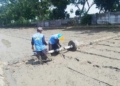 Pmaas Di Desa Cengkuang