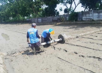 Pmaas Di Desa Cengkuang