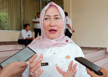 Dinkes Kabupaten Cirebon Tunggu Kepgub Atur Pembiayaan Pasien, Cegah Duplikasi Anggaran 1 Kepala Dinkes Kabupaten Cirebon, Hj. Eni Suhaeni.