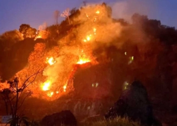 Lahan Di Kawasan Bukit Kemelak, Blok Benggoi, Desa Kepuh, Kecamatan Palimanan, Kabupaten Cirebon, Terbakar Pada Rabu, 7 Oktober 2026 Malam.