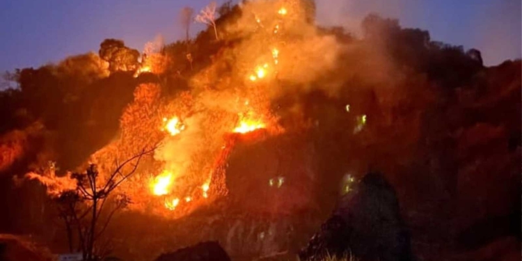 5 Hektare Lahan Bukit Kemelak Terbakar, Damkar Kabupaten Cirebon Kerahkan Tiga Armada 6 Lahan Di Kawasan Bukit Kemelak, Blok Benggoi, Desa Kepuh, Kecamatan Palimanan, Kabupaten Cirebon, Terbakar Pada Rabu, 7 Oktober 2026 Malam.