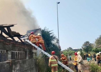 Rumah Kosong di Sutawinangun Terbakar, 385 Meter Persegi Hangus 3 Petugas Pemadam Kebakaran Kabupaten Cirebon Berjibaku Memadamkan Api Yang Membakar Sebuah Rumah Kosong Milik Csb Mall Di Jalan Sutawinangun, Gang Tawekal, Rt 003/Rw 006, Desa Sutawinangun, Kecamatan Kedawung, Selasa, 13 Oktober 2026.