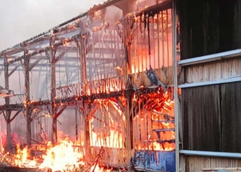 Kandang Ayam di Cirebon Terbakar, Ribuan Ekor Hangus 2 Kandang Ayam Di Blok Pesantren, Rt 001/Rw 006, Desa Wiyong, Kecamatan Susukan, Kabupaten Cirebon Terbakar Hebat, Rabu, 14 Oktober 2026.