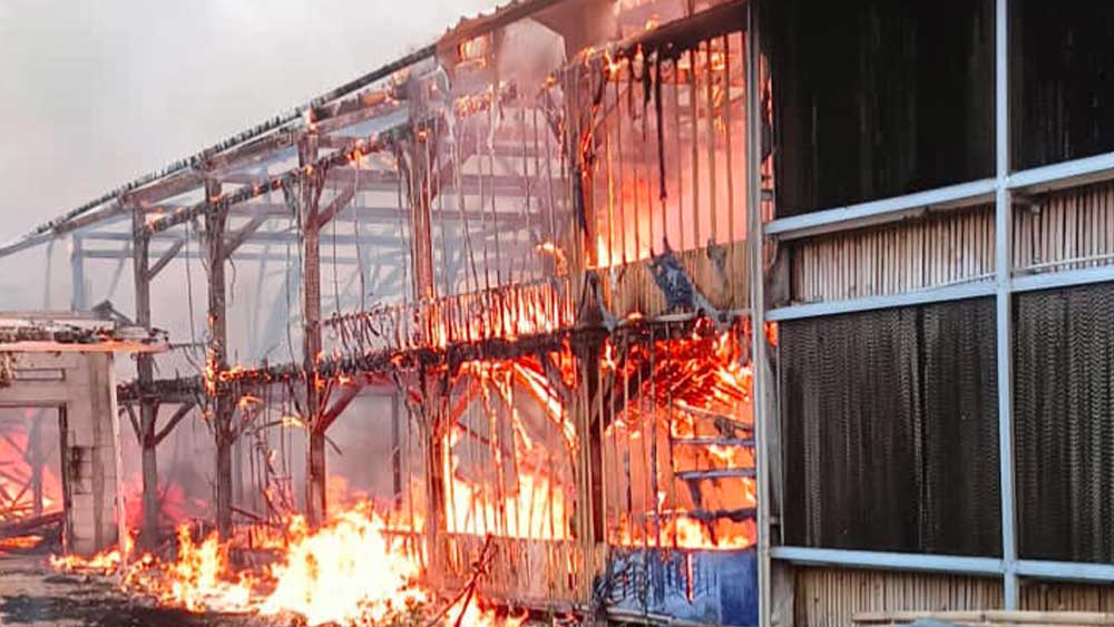 Kandang Ayam di Cirebon Terbakar, Ribuan Ekor Hangus 1 Kandang Ayam Di Blok Pesantren, Rt 001/Rw 006, Desa Wiyong, Kecamatan Susukan, Kabupaten Cirebon Terbakar Hebat, Rabu, 14 Oktober 2026.