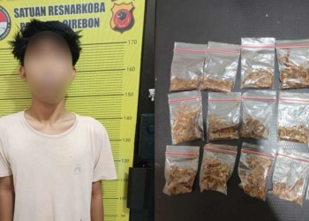 Polisi Ungkap Dugaan Peredaran Tembakau Sintetis di Palimanan Cirebon, 15 Paket Disita 2 Pelaku Pengedar Narkotika Jenis Tembakau Sintetis Dan Barang Bukti Yang Diamankan Jajaran Satuan Reserse Narkoba Polresta Cirebon, Selasa, 26 Oktober 2026.