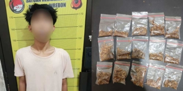 Polisi Ungkap Dugaan Peredaran Tembakau Sintetis di Palimanan Cirebon, 15 Paket Disita 7 Pelaku Pengedar Narkotika Jenis Tembakau Sintetis Dan Barang Bukti Yang Diamankan Jajaran Satuan Reserse Narkoba Polresta Cirebon, Selasa, 26 Oktober 2026.