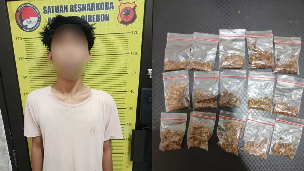 Polisi Ungkap Dugaan Peredaran Tembakau Sintetis di Palimanan Cirebon, 15 Paket Disita 1 Pelaku Pengedar Narkotika Jenis Tembakau Sintetis Dan Barang Bukti Yang Diamankan Jajaran Satuan Reserse Narkoba Polresta Cirebon, Selasa, 26 Oktober 2026.